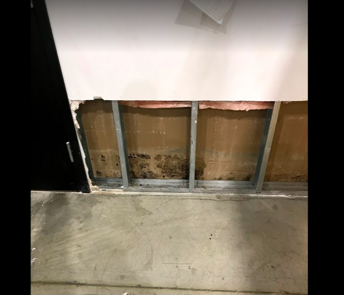 Mold in commercial building 