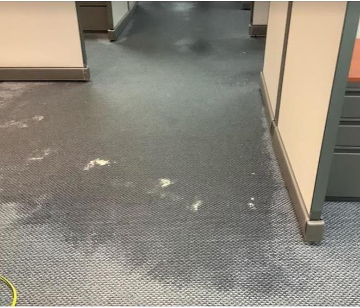 water damaged office carpet