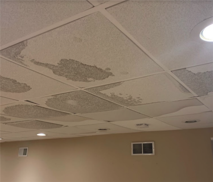 water spots on ceiling of basement