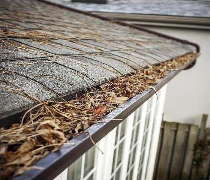 leaves in gutter of house