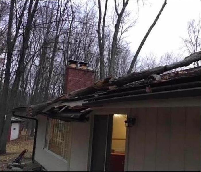 tree fallen on roof of house